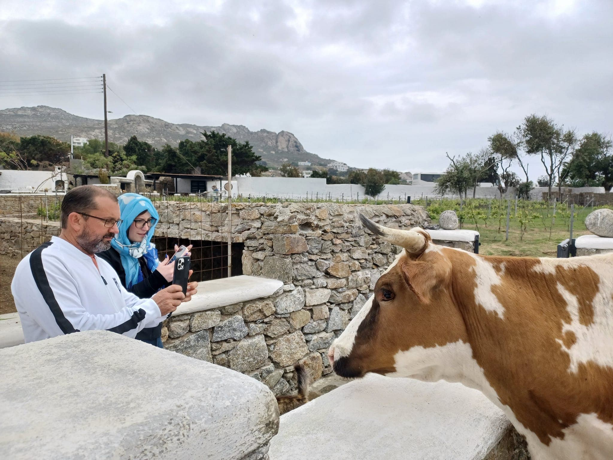 Mykonian Farm & Monastery Visit – 3-Hour Afternoon Tour (1)